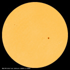 SDO/HMI Continuum Image of the Sun