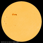 SDO/HMI Continuum Image of the Sun